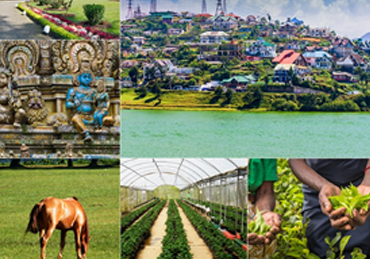 Nuwara Eliya